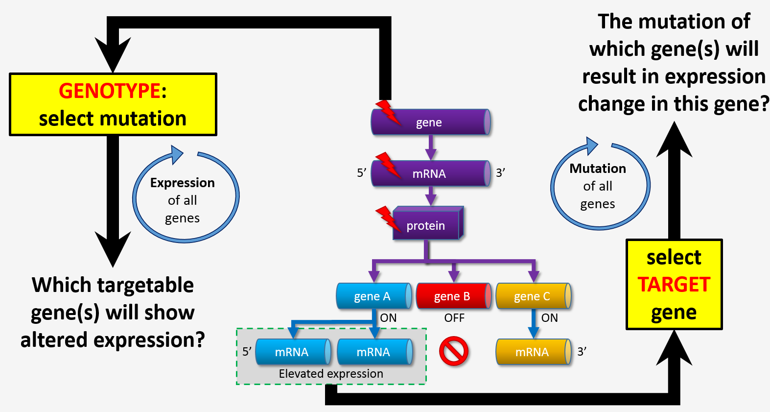 Analysis options overview